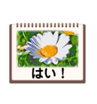 絵画のお花スタンプ仕事ビジネス日常挨拶（個別スタンプ：37）