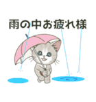 仔猫のぽんにゃん【初夏＊天気】飛び出す（個別スタンプ：2）