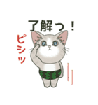 仔猫のぽんにゃん【初夏＊天気】飛び出す（個別スタンプ：4）