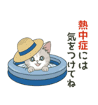 仔猫のぽんにゃん【初夏＊天気】飛び出す（個別スタンプ：7）