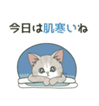 仔猫のぽんにゃん【初夏＊天気】飛び出す（個別スタンプ：10）