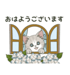 仔猫のぽんにゃん【初夏＊天気】飛び出す（個別スタンプ：17）