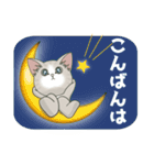 仔猫のぽんにゃん【初夏＊天気】飛び出す（個別スタンプ：19）