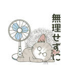 仔猫のぽんにゃん【初夏＊天気】飛び出す（個別スタンプ：21）