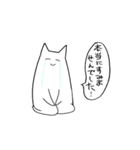 やば猫 使い勝手の良いスタンプ第3弾DAYO（個別スタンプ：7）