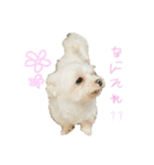 はなつもこ（個別スタンプ：4）