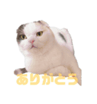 メルとルーシー②（個別スタンプ：5）
