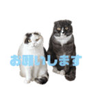 メルとルーシー②（個別スタンプ：6）