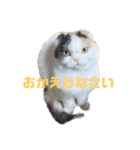 メルとルーシー②（個別スタンプ：12）