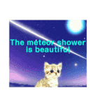 Moon  meteor shower  cat stickers 230418（個別スタンプ：9）