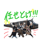 とうり＆しょうき（個別スタンプ：3）
