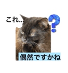 黒猫 ルナ院長46にゃんめ（個別スタンプ：2）