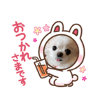ポニョのペットたち（個別スタンプ：1）
