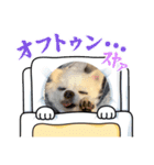 ポニョのペットたち（個別スタンプ：3）
