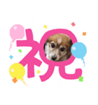 大愛family 2（個別スタンプ：3）