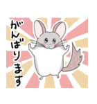 チンチラのむいむい3（個別スタンプ：6）