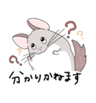 チンチラのむいむい3（個別スタンプ：8）
