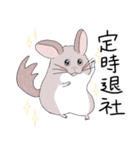 チンチラのむいむい3（個別スタンプ：10）