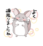 チンチラのむいむい3（個別スタンプ：14）