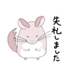 チンチラのむいむい3（個別スタンプ：16）
