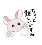 チンチラのむいむい3（個別スタンプ：18）