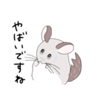 チンチラのむいむい3（個別スタンプ：19）