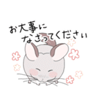 チンチラのむいむい3（個別スタンプ：20）