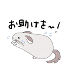 チンチラのむいむい3（個別スタンプ：21）