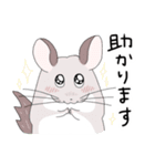 チンチラのむいむい3（個別スタンプ：22）