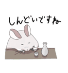 チンチラのむいむい3（個別スタンプ：25）