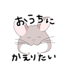 チンチラのむいむい3（個別スタンプ：33）