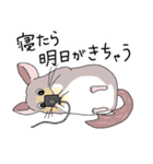 チンチラのむいむい3（個別スタンプ：36）