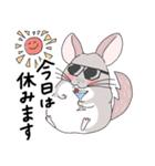 チンチラのむいむい3（個別スタンプ：38）