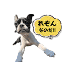 檸檬☆時々来夢（個別スタンプ：1）