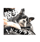 檸檬☆時々来夢（個別スタンプ：21）