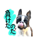 檸檬☆時々来夢（個別スタンプ：24）
