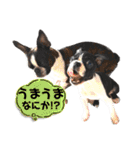 檸檬☆時々来夢（個別スタンプ：29）