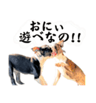 檸檬☆時々来夢（個別スタンプ：34）