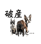檸檬☆時々来夢（個別スタンプ：36）
