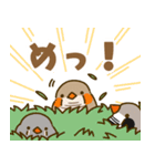 めーさん日記（個別スタンプ：1）