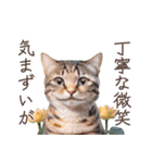 トラ猫のフルと一緒にゴロゴロ（個別スタンプ：4）