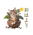 トラ猫のフルと一緒にゴロゴロ（個別スタンプ：14）