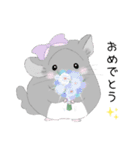 チンチラちびまるくん♡イラストスタンプ（個別スタンプ：3）