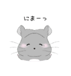 チンチラちびまるくん♡イラストスタンプ（個別スタンプ：4）
