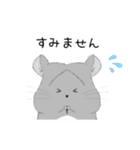 チンチラちびまるくん♡イラストスタンプ（個別スタンプ：9）