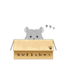 チンチラちびまるくん♡イラストスタンプ（個別スタンプ：26）