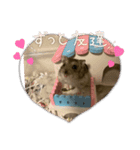 くろ＆ちく（個別スタンプ：10）