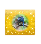 悠芽の鳥日記3（個別スタンプ：8）