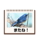 悠芽の鳥日記3（個別スタンプ：14）