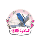 悠芽の鳥日記3（個別スタンプ：19）